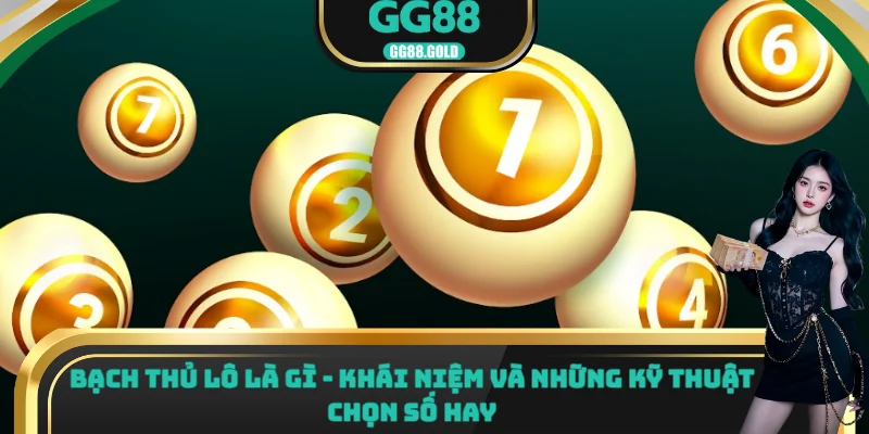 Bạch thủ lô là gì khái niệm và những kỹ thuật chọn số hay